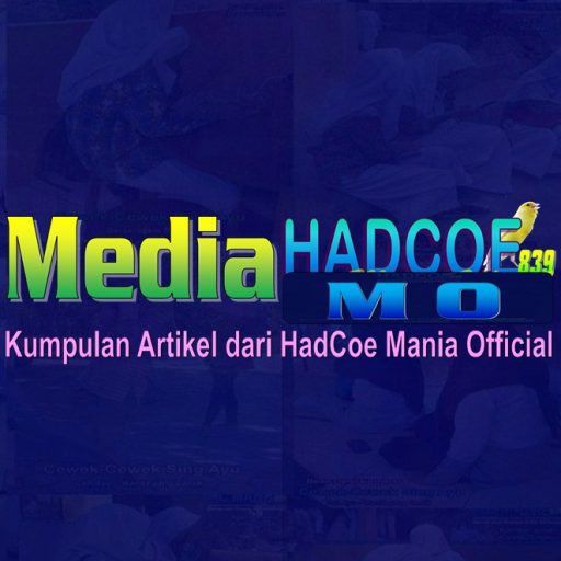 Media HadCoe Mo